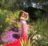 ombre-flowerbed-jpg
