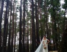 Donna-veil-blog